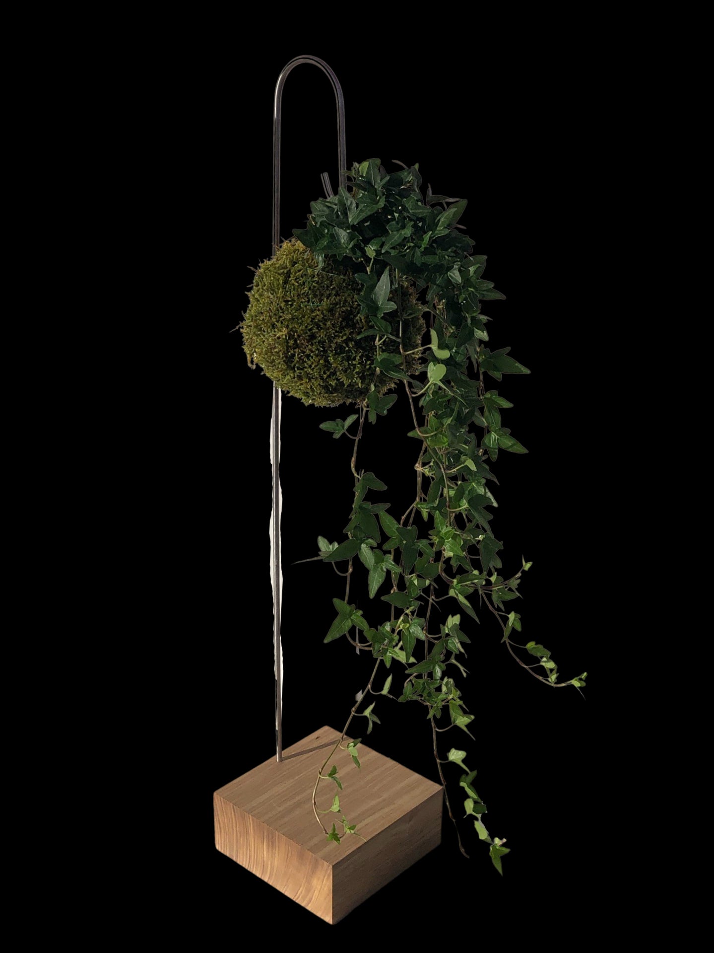 Houten Kokedama Houder avec Inox Haak