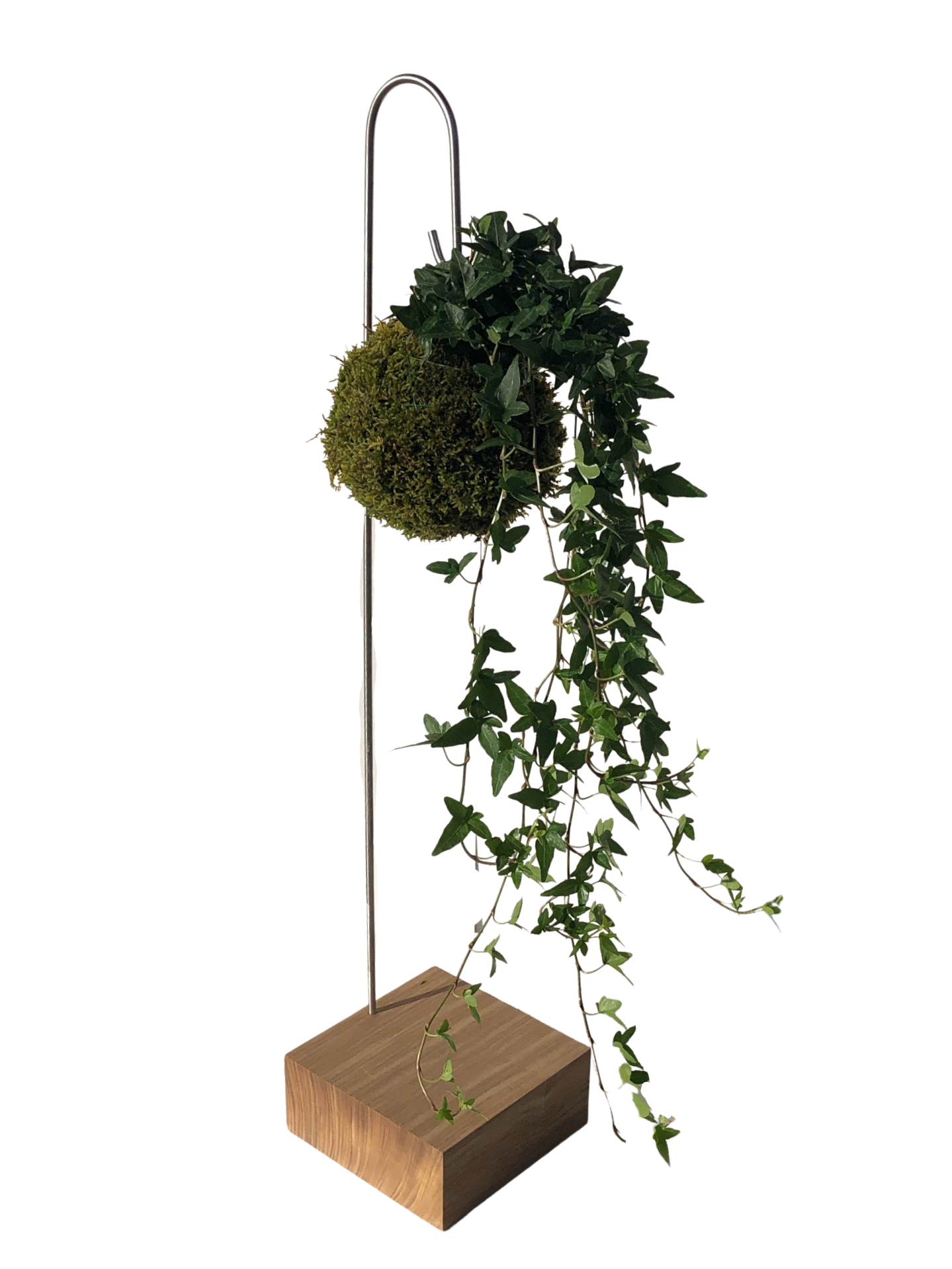 Houten Kokedama Houder met Inox Haak