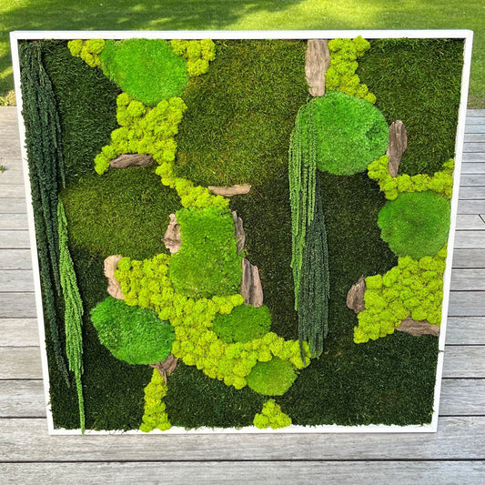 Kader met gestabiliseerd mos en planten Extra Large