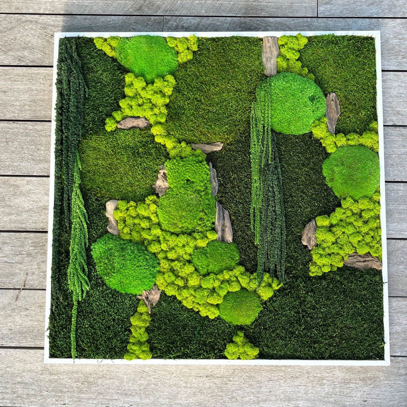 Kader met gestabileerd mos en planten Extra Large