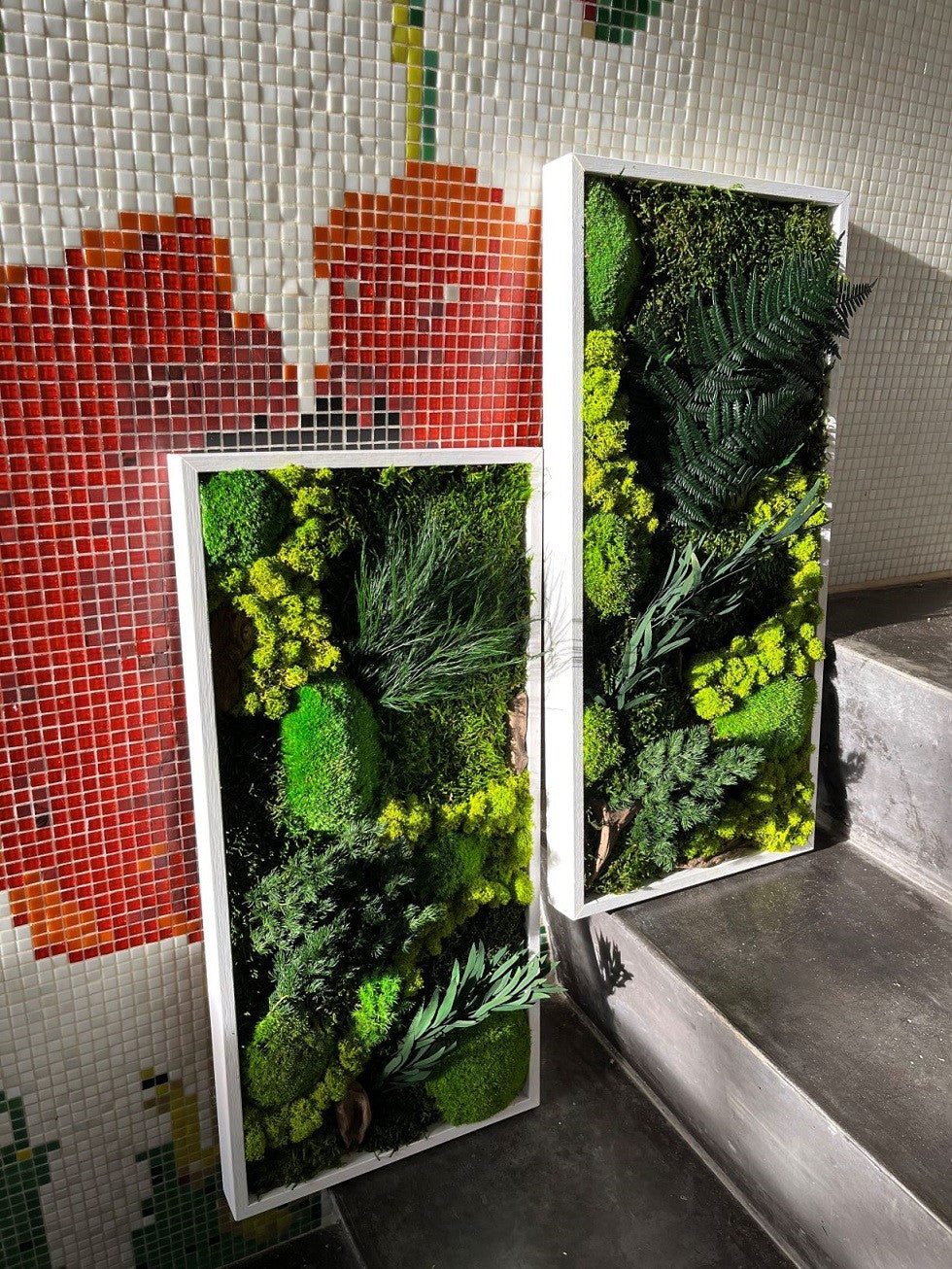 Kader met gestabileerd mos en planten