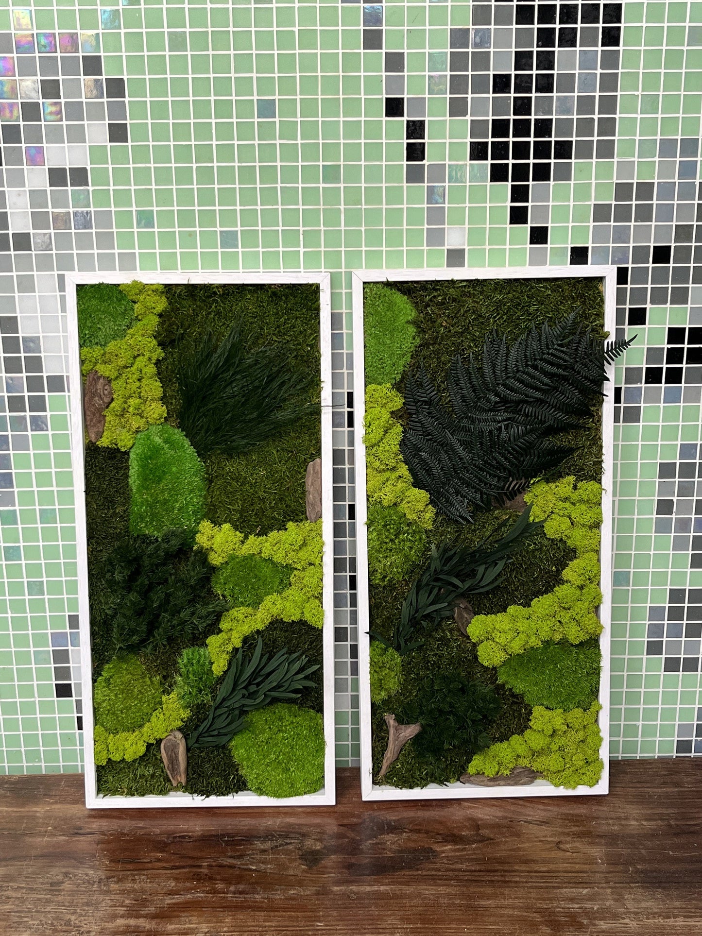 Kader met gestabileerd mos en planten
