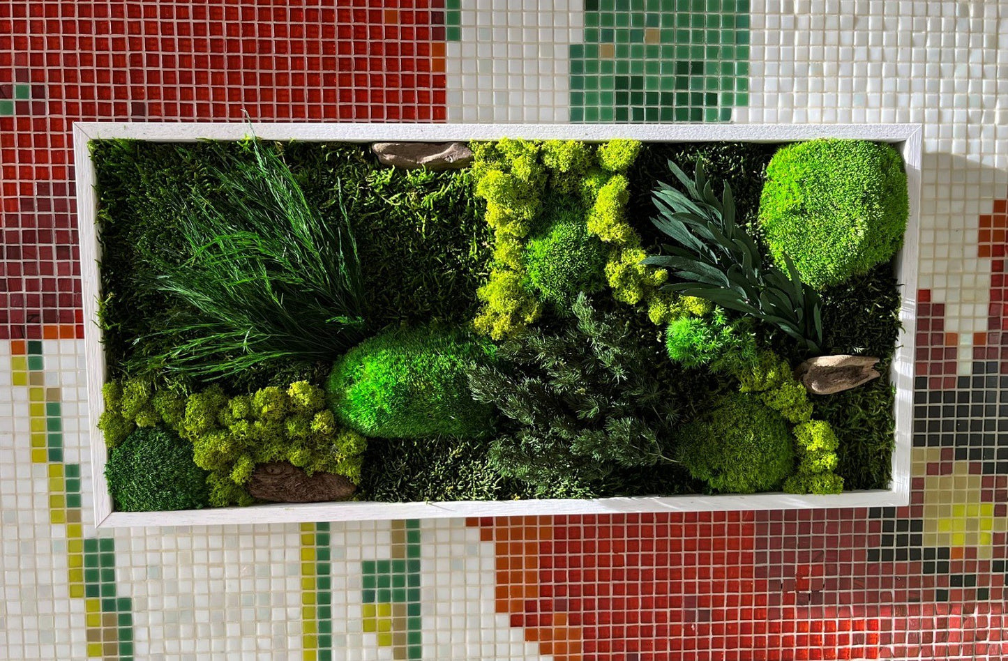 Kader met gestabileerd mos en planten