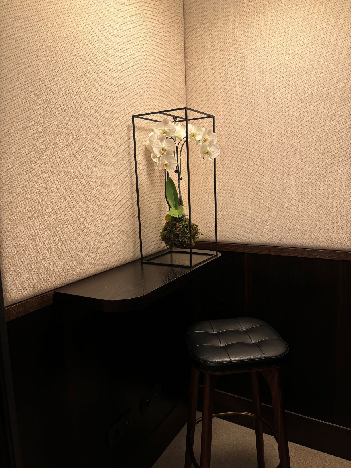 Kokedama Orchidée Blanche