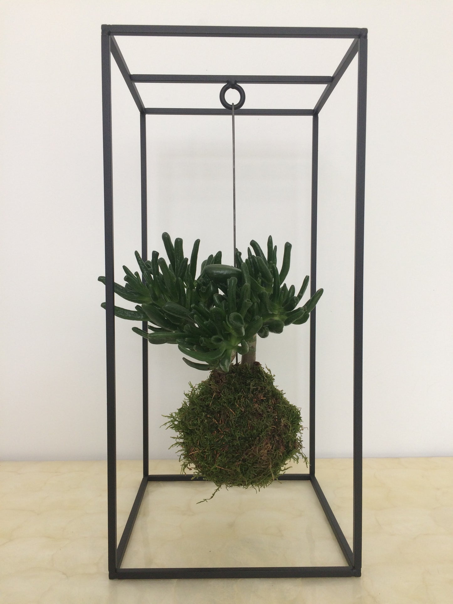 Cache-plantes CAGE Small Noir
