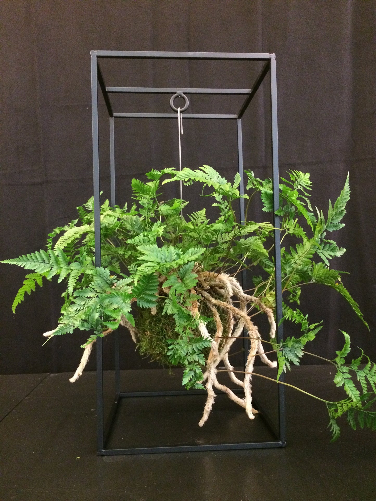 Cache-plantes CAGE Small Noir