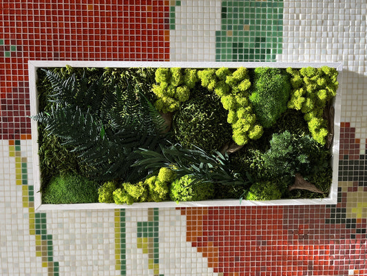 Kader met gestabileerd mos en planten