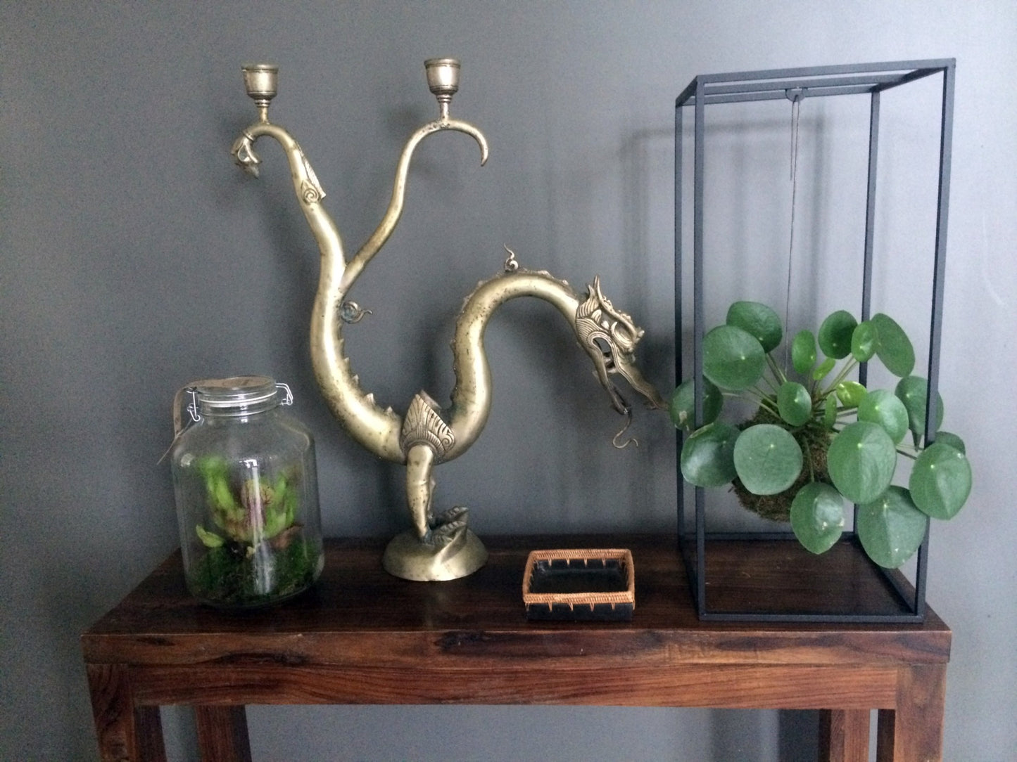 Kokedama Pilea Peperomioides