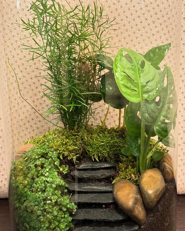 Time to start thinking about the perfect Mother’s Day present#terrarium #terrarium_art #theperfectgift #nomaintenance 